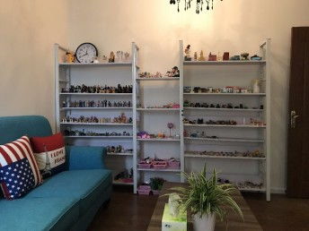 重慶專(zhuān)業(yè)心理咨詢(xún)師介紹及收費(fèi)標(biāo)準(zhǔn)