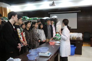 引領(lǐng)心理成長(zhǎng)，成就青春夢(mèng)想 重慶市大學(xué)生心理成長(zhǎng)微課比賽暨青馬工程大骨班學(xué)員心理健康培訓(xùn)圓滿(mǎn)落幕